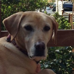 Meet your Posher, Denise